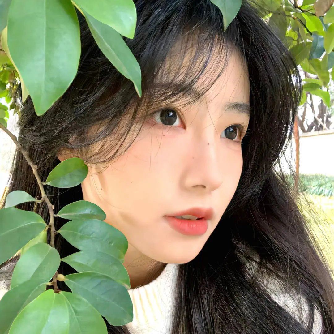 布拉格的大学生